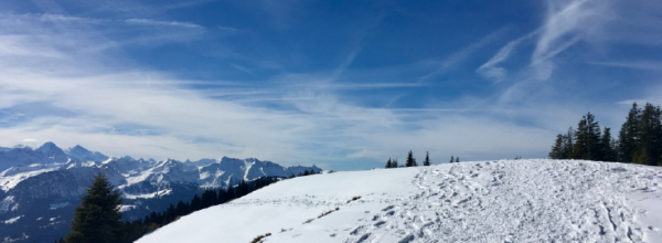 26.02.2017 – Schneeschuhtour Jänzi Trail